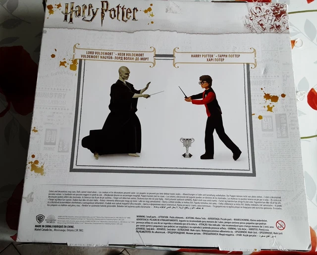 Harry Potter Coffret Poupées Harry Et Ron 30 Cm Avec Plus De 10 Acc A Bord Du Poudlard Express A Collectionner Joue Amz