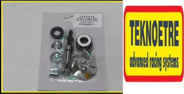 Kit Revisione Pompa Acqua Downtown 300 2011  People 300 Gti Abs 2012 3402542