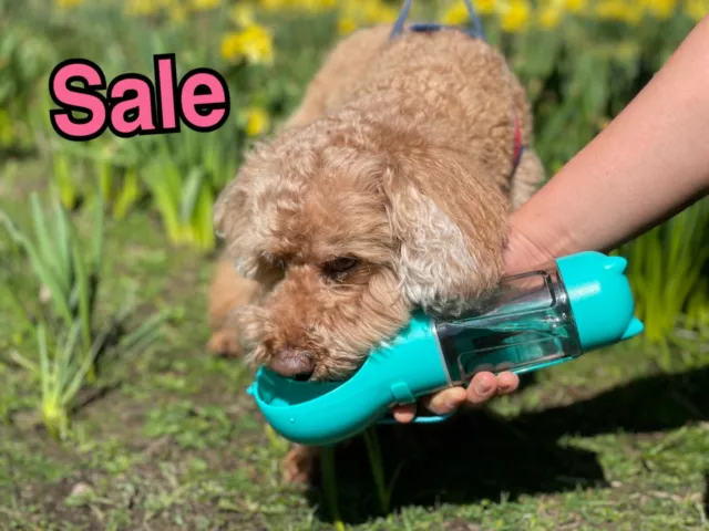 Clearance: 300ml Portable Pet Dog Water Bottle Dispenser/Travel Drinking Feeder