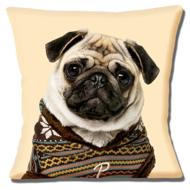 Fawn Pug Dog 16"x16" 40cm Cushion Cover Wearing Knitted Sweater Photo Cream