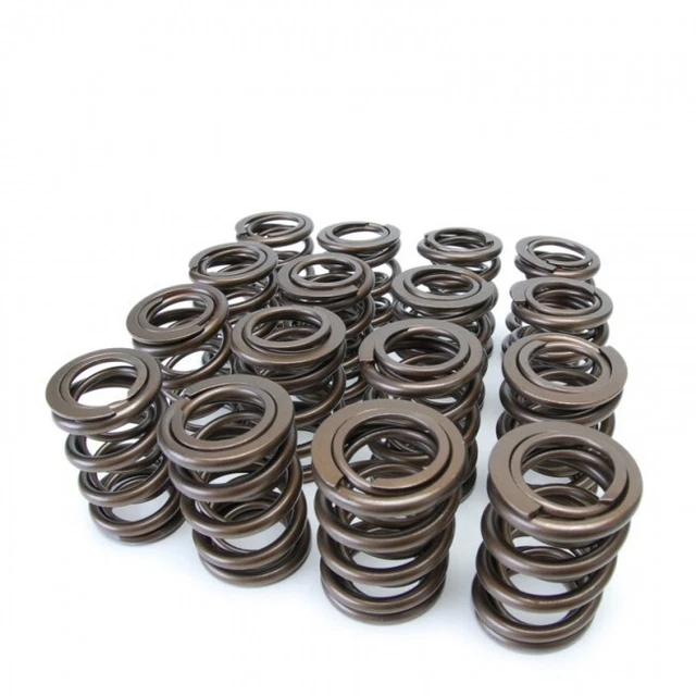 Skunk2 Alpha Set molle valvole per Honda B-Series B16/B17/B18 VTEC