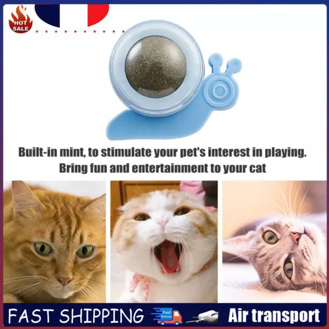 Cat Catnip Rotating Ball Cleaning Teeth Molar Interactive Pet Toys (Blue) FR