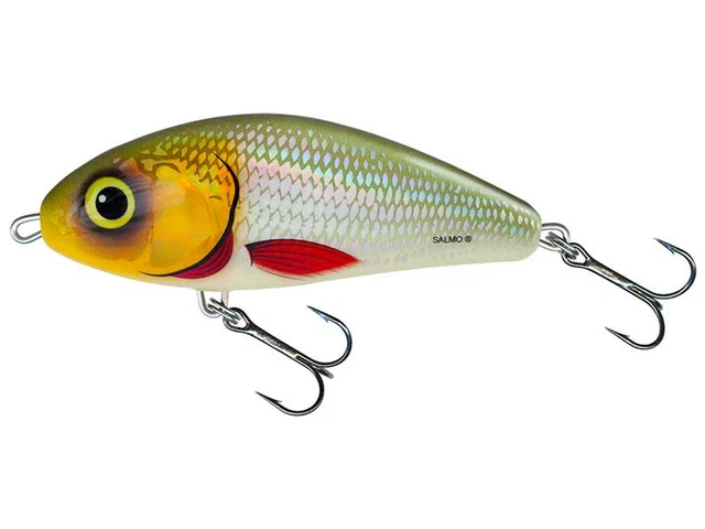Salmo Slider SD10S Jerkbait 10cm 46g – Leurre Coulant Per Luccio E Sandro, Nuovo - Foto 2