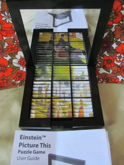 Immagine di Einstein questo gioco di puzzle ottico impressionista Renoir Seurat stampe in perfette condizioni