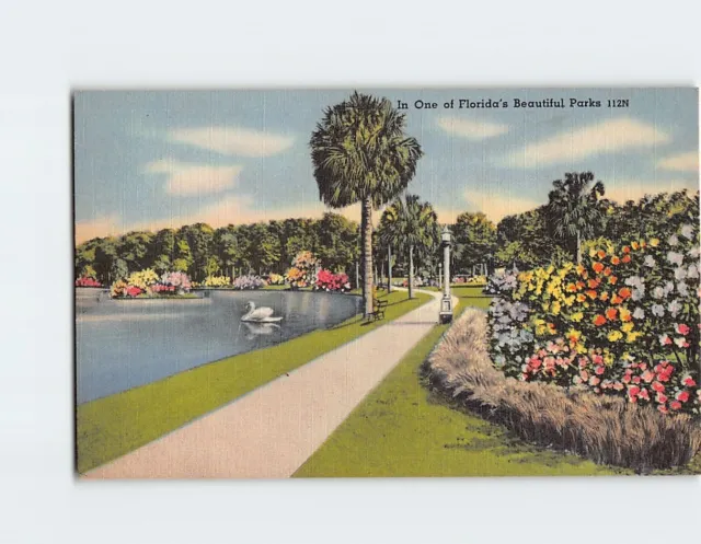 Postcard In One of Florida's Beautiful Parks USA North America