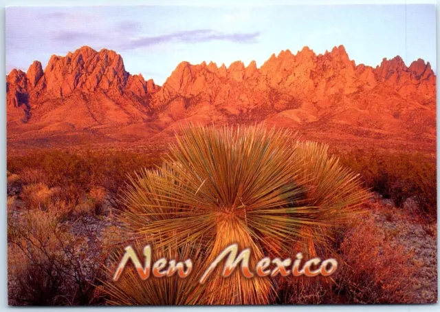 Postcard Organ Mountains New Mexico USA North America