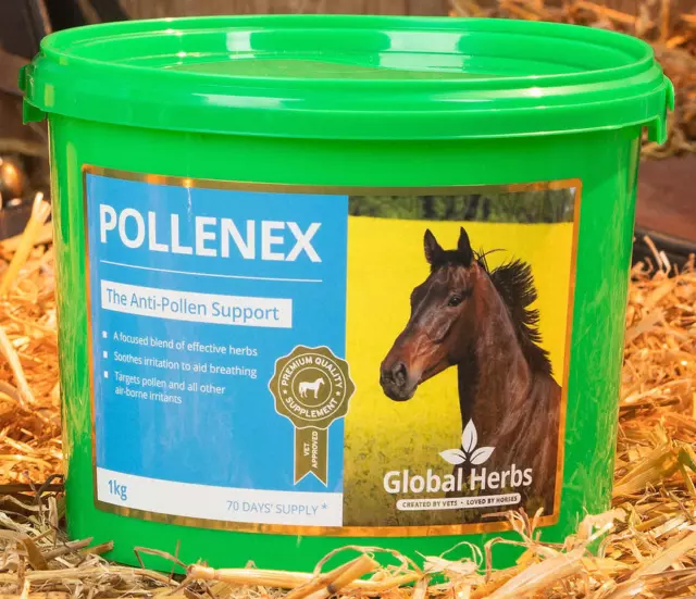 Global Herbs PolleneX Pollen Respiratory Breathing Aid Airways Horse Supplement