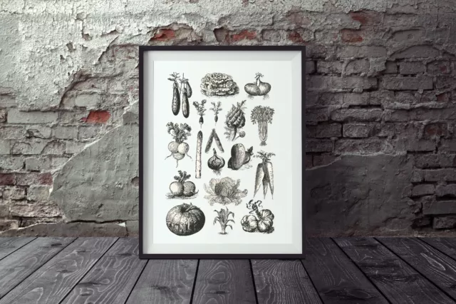 Poster Küche, Poster Gemüse, Wandbild Gemüse, Poster Vintage, Küchenposter