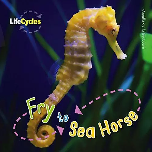 Life Cycles: Fry to Seahorse