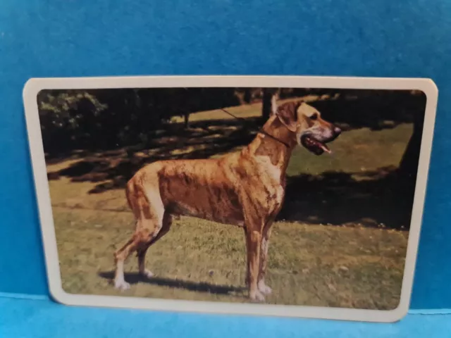 Golden Fleece Swap Cards DOGS #23 GREAT DANE Trading Card🏆FREE POST