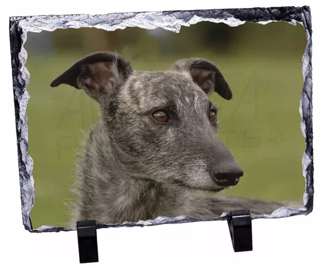 Lurcher Dog, Stunning Animal Photo Slate, AD-LU1SL