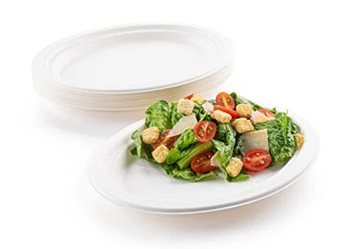 Premium 12 5/8 x 10-Inch Paper Platters, 24 ct - 2 Pack