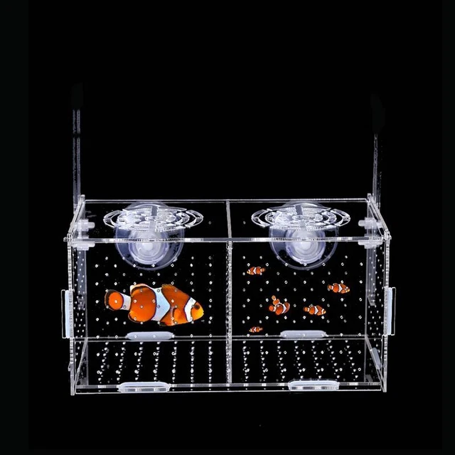 Fish Tank Aquarium - Acrylic Small Fish Isolation Net Tropical Fish Breeding Box 3