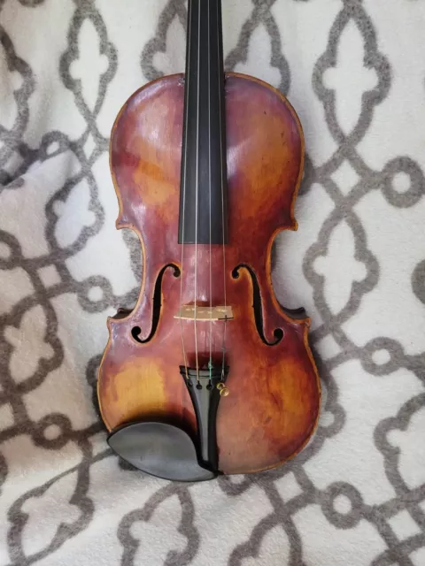 180 year old antique 4/4 violin label Pierre Silvestre Lyon 1848 - Warm beauty