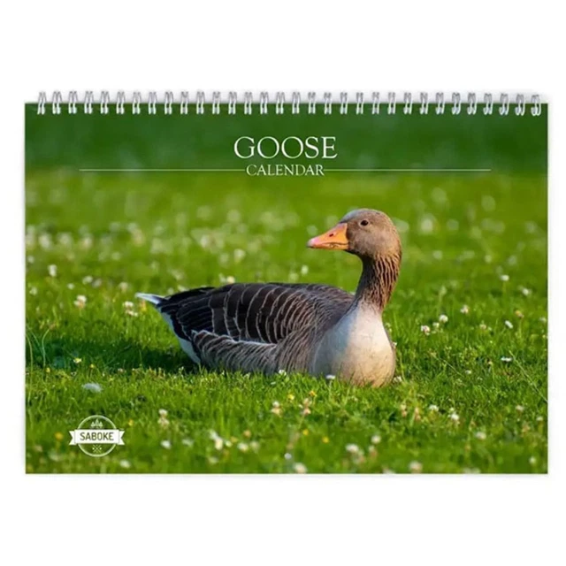 PAPER CUTE DUCK Calendar Time Planning 2024 Calendar Desk Decoration