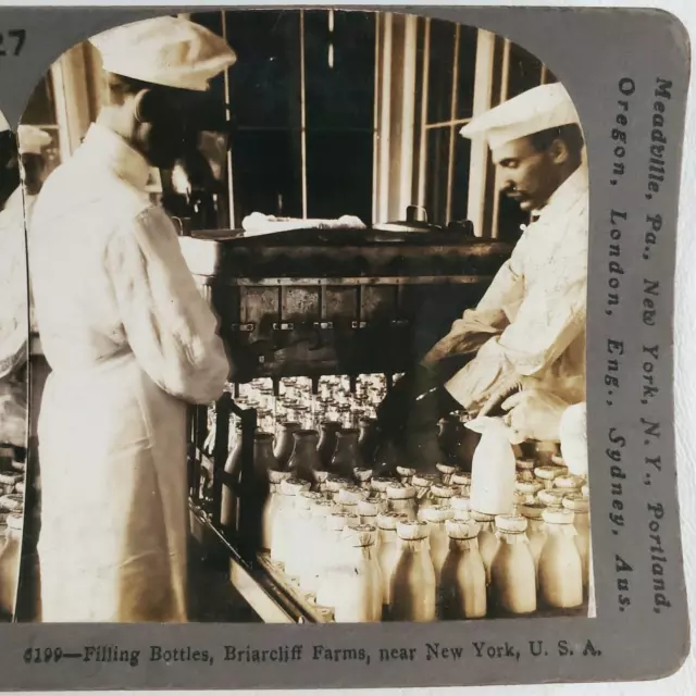 Briarcliff Dairy Farm Bottles Stereoview 1920s Pine Plains New York Factory D454