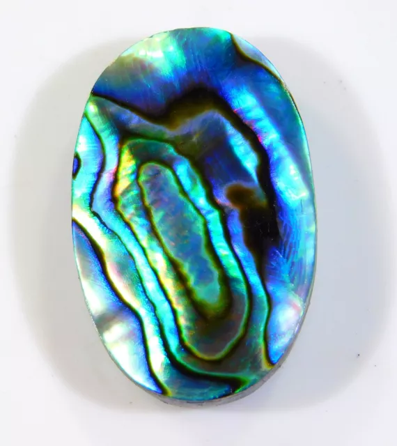 28 CT Superbe Naturel Arc-en-Ciel Feu Abalone Coque Ovale Cabochon Gemme Ch =3