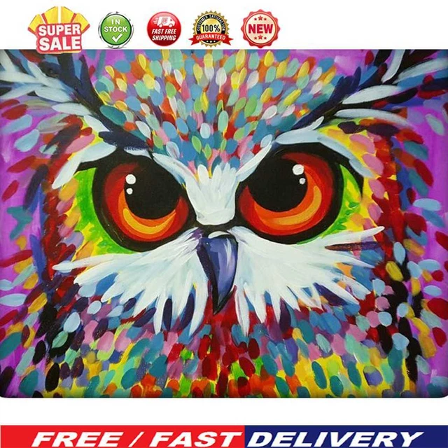 (DE5135) 5D HAZLO TÚ MISMO Kits de pintura de diamantes Animal cuadrado diamante Imagen (B2513 Búho)