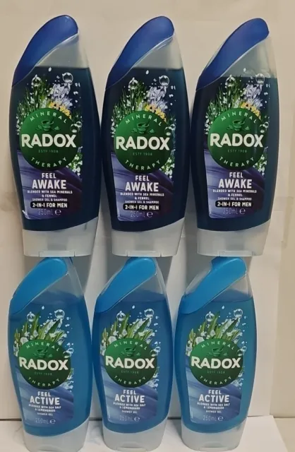 Radox Shower Therapy 2 In 1 Gel For Men 250Ml