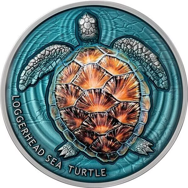 Loggerhead Sea Turtle Lifelong Journey 2 oz Antique finish Silver Coin 2023 Niue