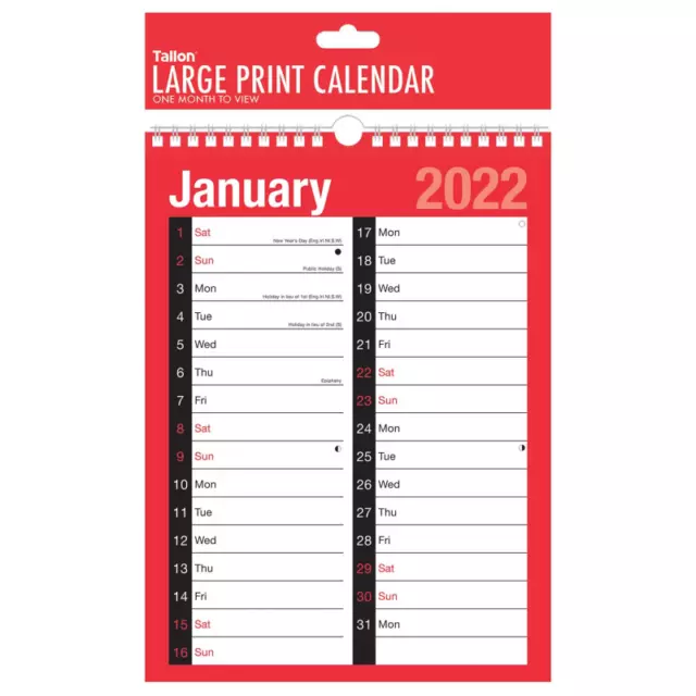 2022 A4 Extra Wide 2 Column Month To View Spiral Bound Wall Planner Calendar