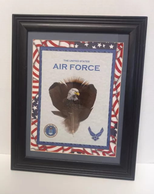 Air Force Eagle Hand Painted Feather Framed Art