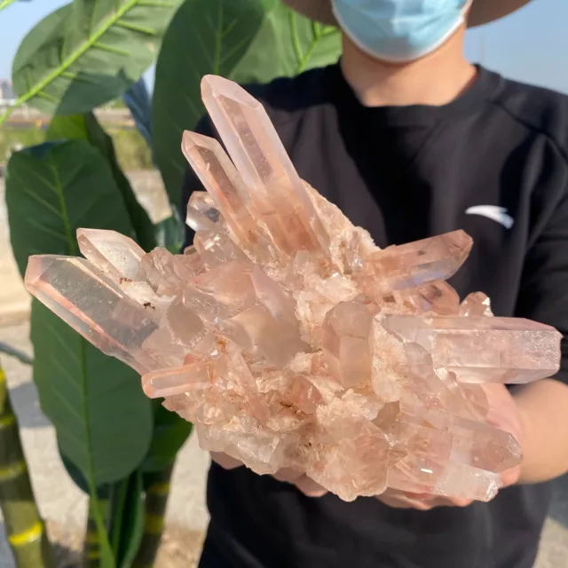 3.1lb Large Natural Clear White Quartz Crystal Cluster Energy Healing Specimen