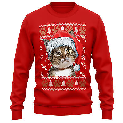 Tabby Cat Christmas Sweatshirt Owner Jumper Day Him Her Unisex