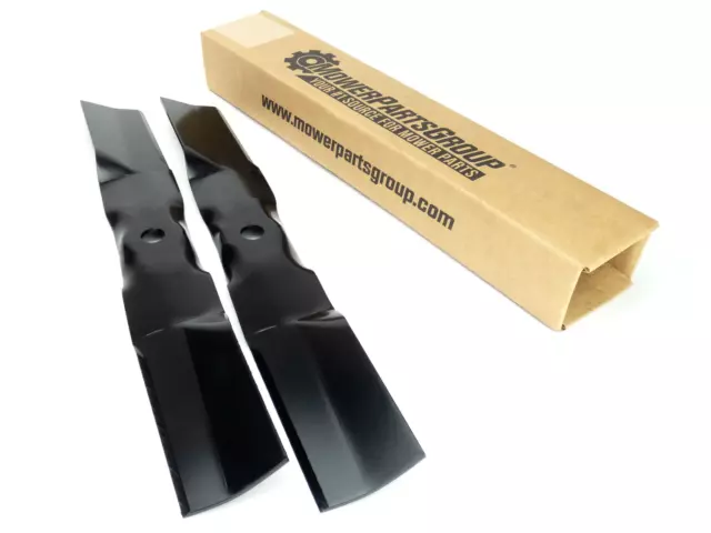Gy20683 2025