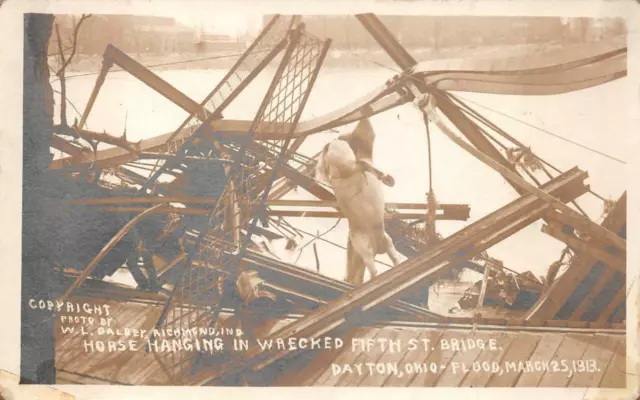 Rppc Horse Hanging Bridge Dayton Ohio Flood Disaster Real Photo Postcard (1913)