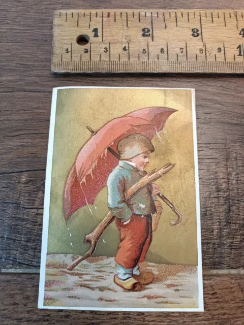 1880s trade card, G.B. Goodrich & Co. Owego , N.Y.  Dry Goods & Carpets(M7)