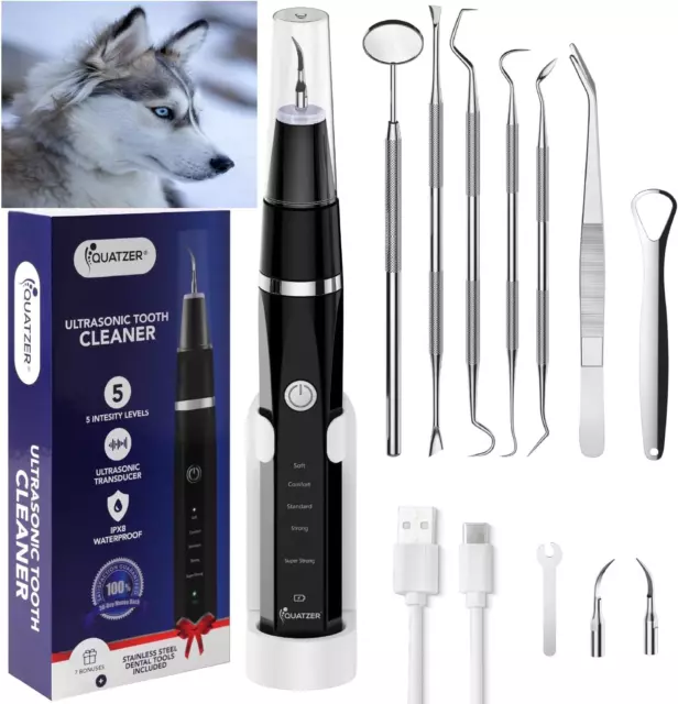 Soin Des Dents Pour Chiens Et Chats Kit Dentaire À Ultrasons Pour Chiens Chats