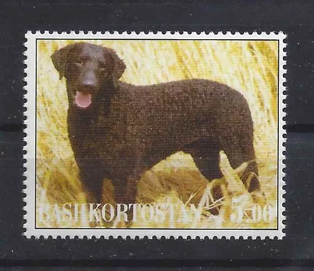 Dog Photo Full Body Postage Stamp Liver CURLY COATED RETRIEVER Bashkortostan MNH