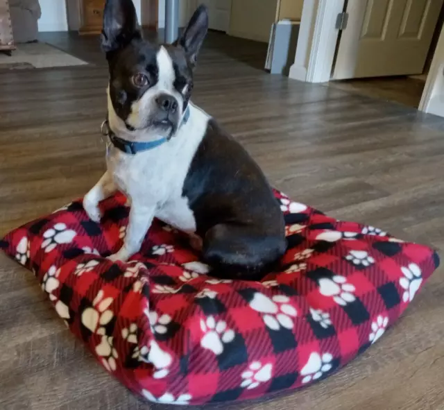 Dog Bed Pocket Pillow Cover, Red and Black Plaid, Paw Prints