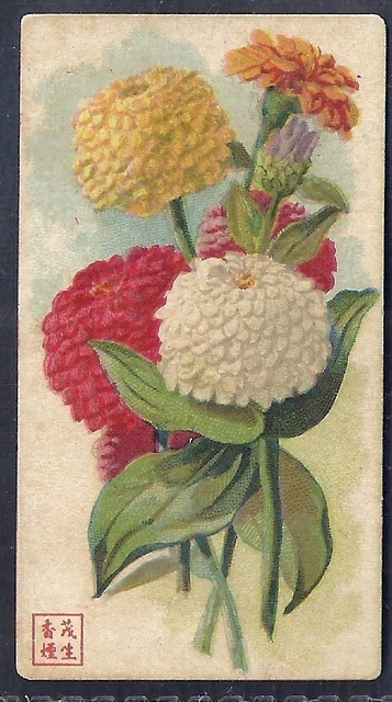 American Cigarette Co. (China)-Flowers-#20- Scarce Card!!!
