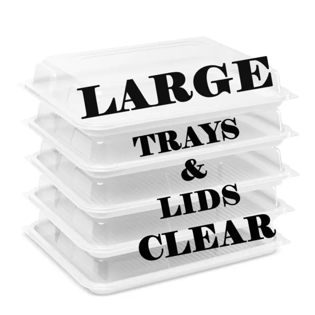 Large CLEAR Plastic Sandwich Platters Trays With Lids For Party Food Catering UK