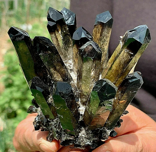 New Find black Phantom Quartz Crystal Cluster Mineral Specimen Healing 500g+/1pc