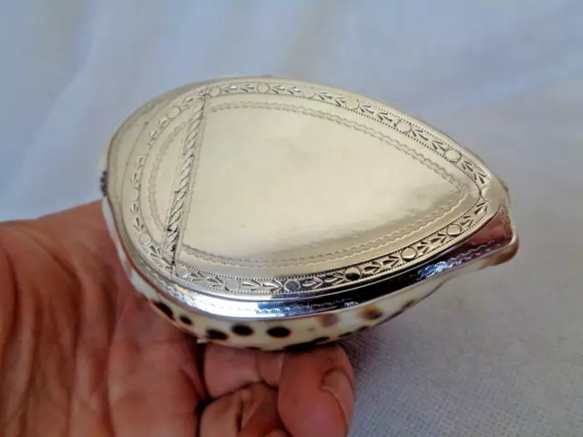 Scottish Provincial Georgian Solid Silver Mounted Cowrie Snuff Box – Perth 3