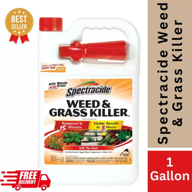 Spectracide Weed and Grass Killer 128 oz Sprayer Ready-to-Use 1 Gallon