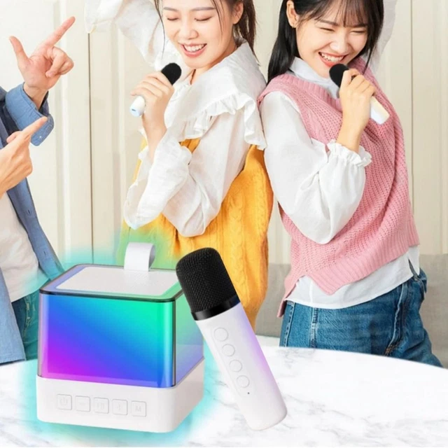 with 2 Wireless Microphone Bluetooth Speaker LED Light Stereo Speaker  Home