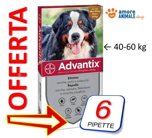 ADVANTIX Bayer - Antiparassitario per cani da 40-60 kg →  4 / 6 / 8 / 12 pipette