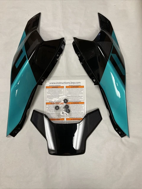 2019 ryker rally