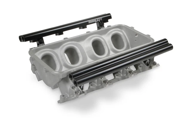 Holley EFI 300-601 Dual Fuel Injector LS1 Lo-Ram Manifold Base GM LS1/LS2/LS6