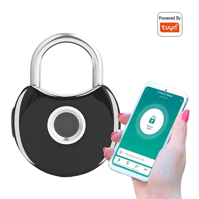 Serrures de porte électronique Tuya Serrure d'empreinte digitale intelligente