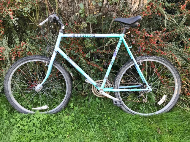 Raleigh Massif FOR SALE PicClick UK