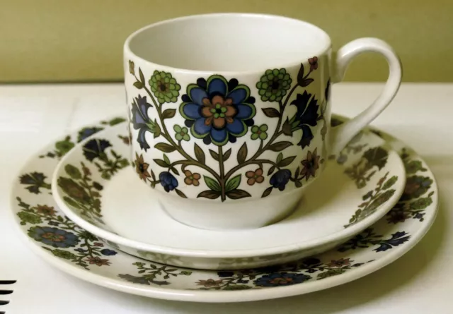 MIDWINTER: Vintage "Country Garden" Tea Cup and Saucer