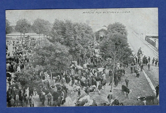 Cc / postcard - CPA / Lisieux => Market for the Beasts // Calvados - 14
