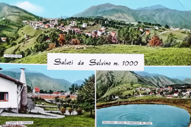 Cartolina - Saluti da Selvino - Vedute diverse - 1960