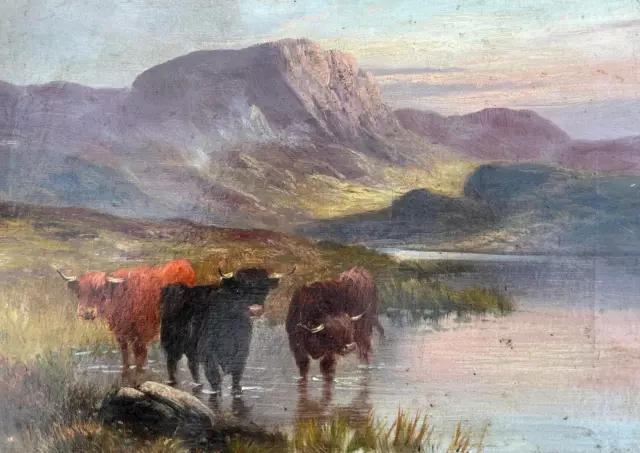 Highland Cows Loch Scottish Mountain H. Coleman c. 1905 Oil on Canvas 41 x 31 cm