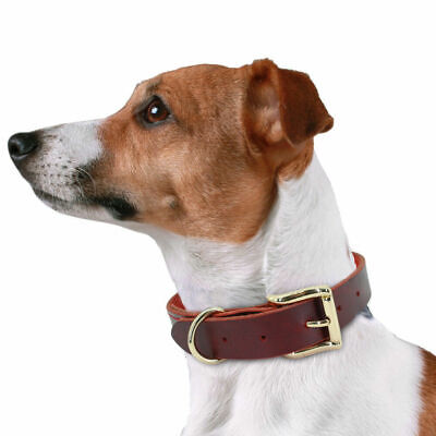 Leather Genuine Leather Padded Dog Heavy Duty K-9 Adjustable Collar Usa Seller 2